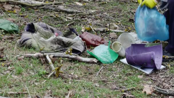 Ekolog Dává Odpadky Lesní Mýtiny Pytle Odpadky — Stock video
