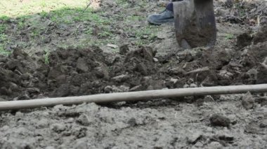  Bir çiftçi bahar bahçesinde eski bir kürekle kara toprak kazar.