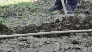 Bir çiftçi eski bir kürekle bahar bahçesini kazar..