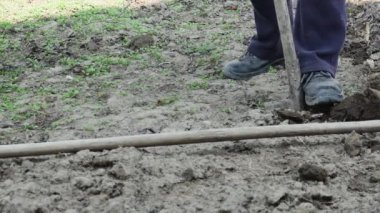 Bir çiftçi bahar bahçesini kazar.