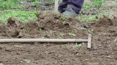 Bir tarlada kürekle kazan çiftçi..