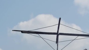 Evcil safkan güvercinlerin gökyüzündeki bulutların hareketinin arka planında dinlenmesi.