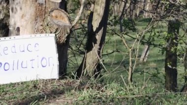 Üzerinde yazı olan bir kağıt parçası bir kütükte, bir açıklıkta plastik şişelerin altındaki kirliliği azaltır.