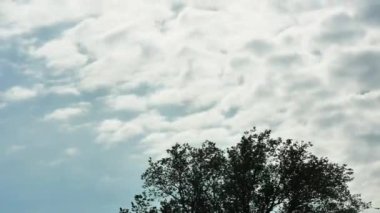  Bir bahar ağacının üzerindeki beyaz bulutlar eriyor..