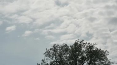 Bir bahar ağacının üzerinde eriyen sabah bulutlarının zamanı..