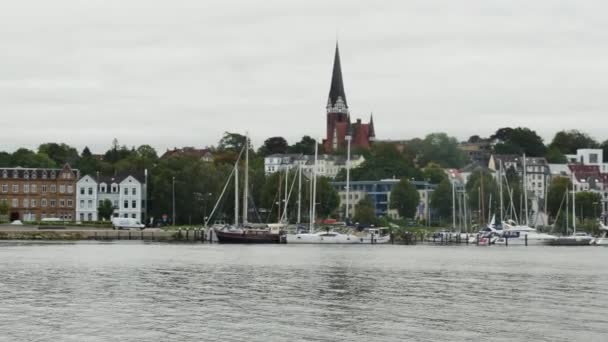 Flensburg Německo Srpna 2023 Racek Jedné Noze Dřevěné Tyči Pozadí — Stock video