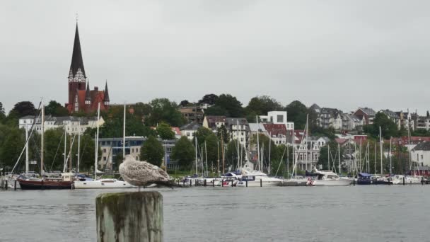 Flensburg Germania Agosto 2023 Argine Con Vecchia Chiesa Yacht — Video Stock