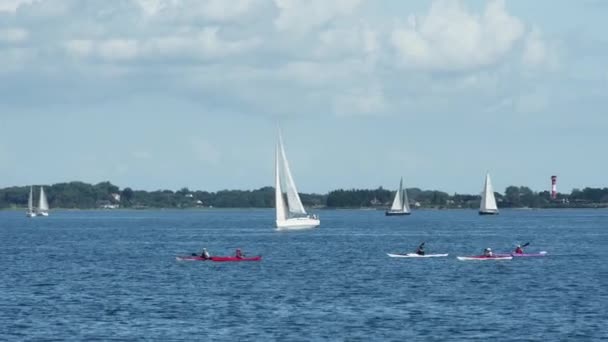 Flensburg Almanya Danimarka Ağustos 2023 Yelkenli Yatlar Kanolar Kıyıya Yakın — Stok video