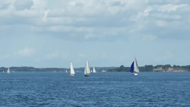 Flensburg Germany Denmark August 2023 Sailing Yachts Sea Kayaks Sail — Stock Video