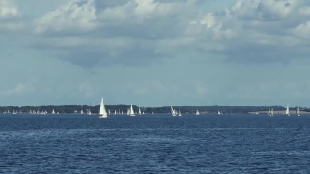 Yates Vela Navegar Mar Cerca Orilla — Vídeos de Stock