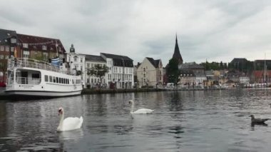Flensburg, Almanya - 17 Eylül 2023. Bir çift kuğu limanda yüzerken arka planda şehir var..