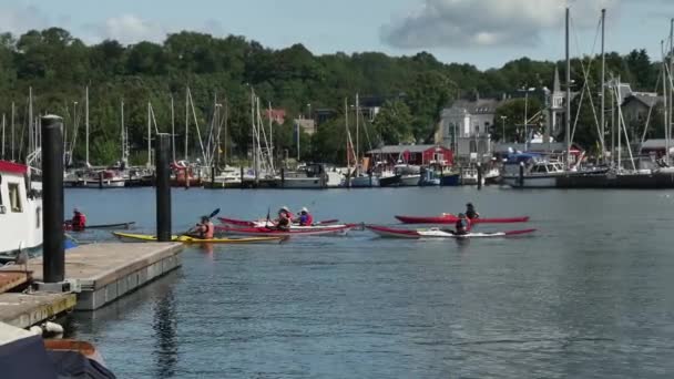 Flensburg Alemania Agosto 2023 Kayaks Mar Con Remos Puerto — Vídeo de stock