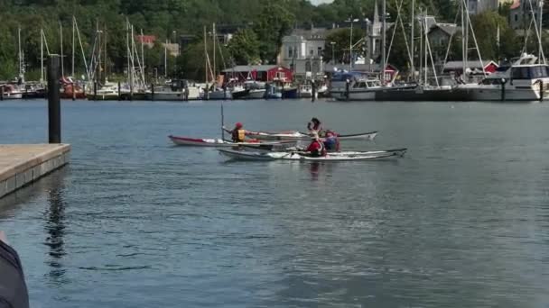 Flensburg Germany August 2023 Passing Sea Kayaks Rowers — Stock Video