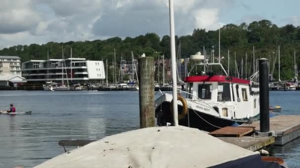 Flensburg Γερμανία Αυγούστου 2023 Περνώντας Καγιάκ Κωπηλάτες Στο Λιμάνι Της — Αρχείο Βίντεο