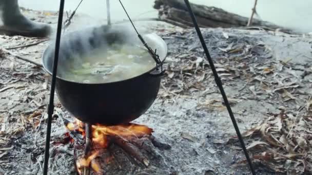 川岸の火災でカルドロンで川魚のスープを調理する スプーンを持つ漁師の手は魚のスープをかき混ぜる — ストック動画
