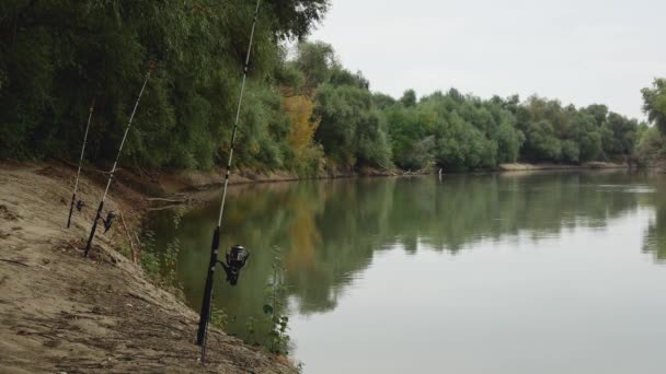 Spinning Rods Fishing River Bank Backdrop Beautiful Landscape — Stock Video