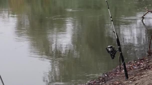 Spinning Rod Fishing River Bank — Stock Video