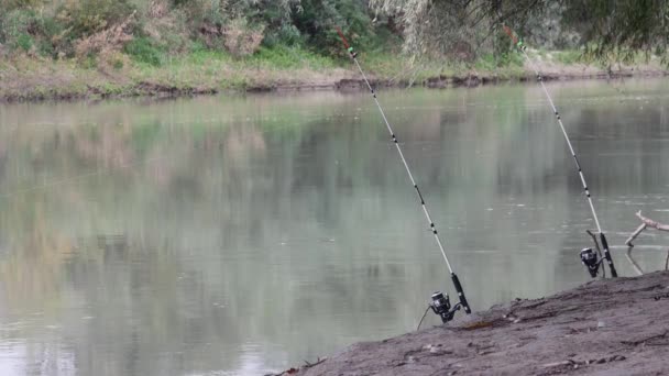 速い流れが付いている川の秋の岸で釣りのための2つの回転棒 — ストック動画