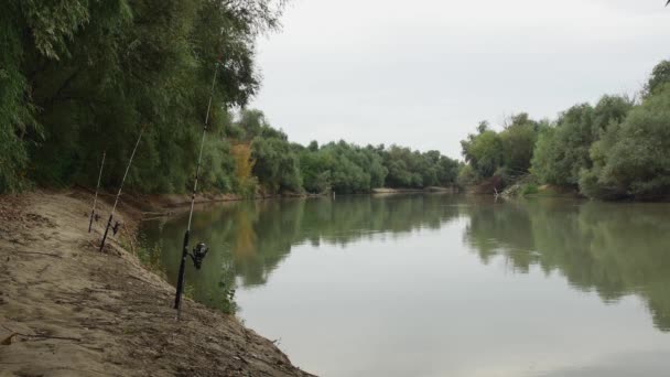 Три Прядіння Стрижні Риболовлі Березі Річки Тлі Красивого Пейзажу — стокове відео