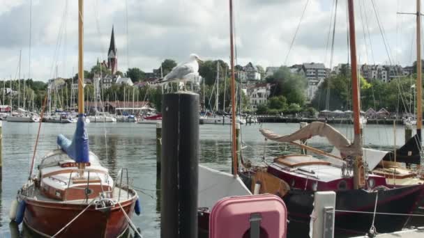 Flensburg Alemania Agosto 2023 Embankment Con Yates Casas Iglesia Antigua — Vídeos de Stock