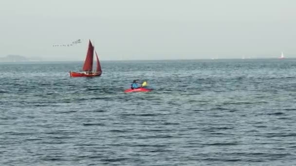 Flensburg Alemania Septiembre 2023 Atleta Del Mar Báltico Sumerge Agua — Vídeo de stock