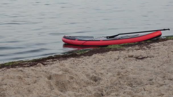 Flensburg Alemanha Setembro 2023 Paddleboard Praia — Vídeo de Stock