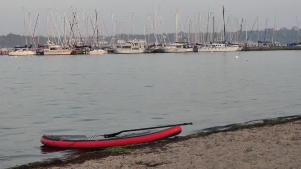Flensburg Německo Září 2023 Paddleboard Večerní Pláži Plachetnicemi Pozadí — Stock video