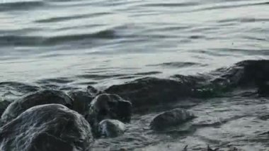 Bir adam ayaklarını denizde büyük taşların yanında yıkıyor.