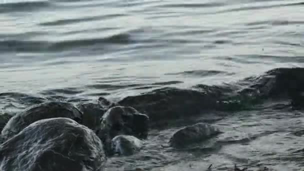 Hombre Baña Sus Pies Mar Junto Grandes Piedras — Vídeo de stock
