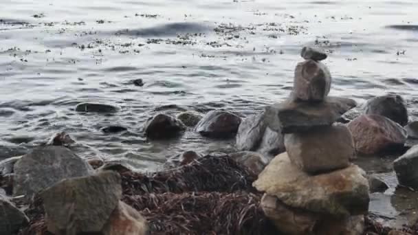 Piedras Místicas Dispuestas Una Orilla Rocosa Con Algas Marinas — Vídeos de Stock