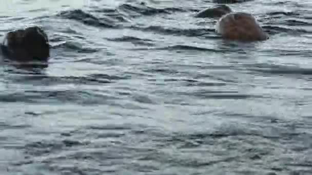 海の波が海岸で大きな石を洗う — ストック動画