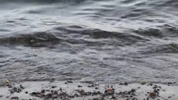Havsvågor Tvätta Stranden Med Små Stenar Och Alger — Stockvideo