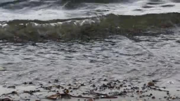 Havsvågor Tvätta Stranden Med Små Stenar — Stockvideo
