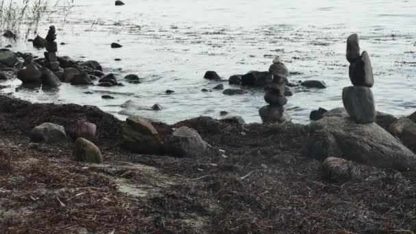 美しく石を敷いた野生の海岸 — ストック動画