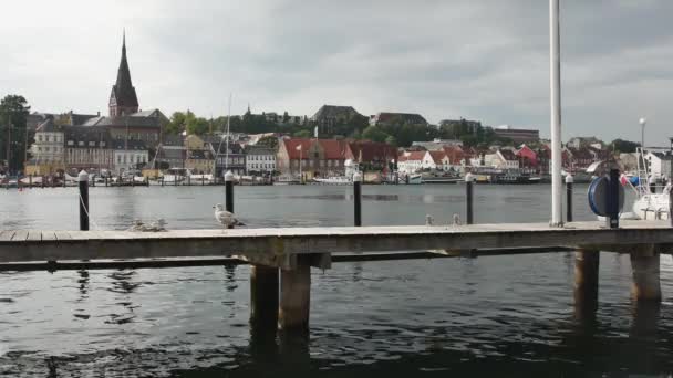 Flensburg Allemagne Septembre 2023 Vue Rive Opposée Digue Ville Avec — Video