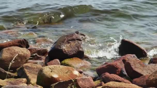 Olas Mar Golpean Grandes Piedras Orilla Cámara Lenta — Vídeo de stock