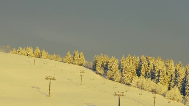 Morgenstille Über Schneebedeckten Skihang Mit Tannen Und Seilbahn — Stockvideo
