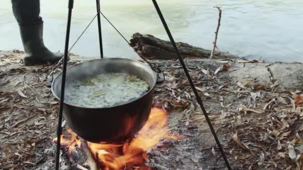 男は火に木を加え 自然の火でカルドロンで魚のスープを調理する — ストック動画
