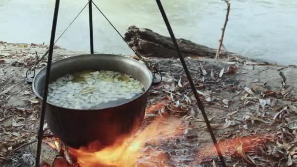 秋の川の近くで自然の大火でカルドロンで魚のスープを調理する — ストック動画