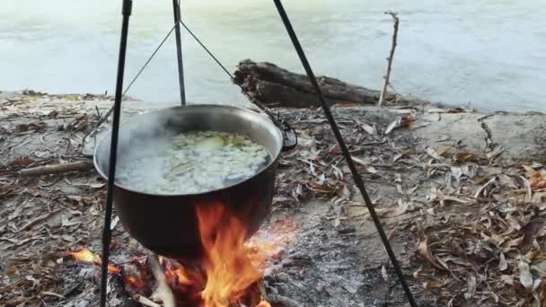 Cocinar Sopa Pescado Caldero Gran Fuego Naturaleza Cerca Del Río — Vídeo de stock