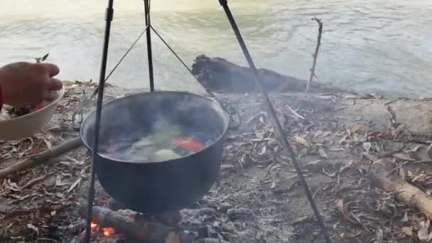 手は沸騰した水に緑を加え 自然の火でカルドロンで魚のスープを調理します — ストック動画