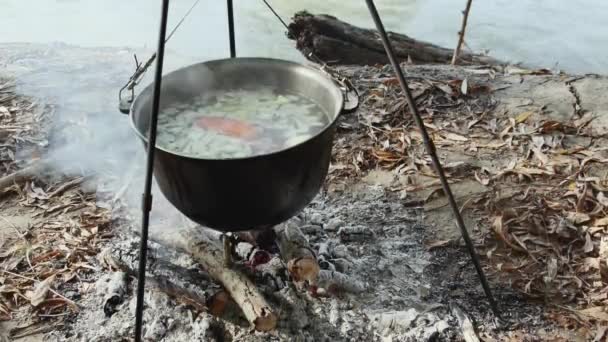 Cocina Sopa Pescado Caldero Fuego Naturaleza — Vídeo de stock