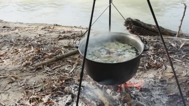 Mani Aggiungono Rami Fuoco Cucinano Minestra Pesce Calderone Fuoco Natura — Video Stock