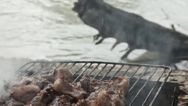ポークネックケバブを調理する グリルの上の食欲をそそる地殻 川岸で — ストック動画