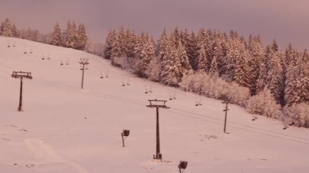 黄金の朝の色で塗られたスキー場の樹木 — ストック動画