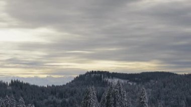  Karla kaplı kozalaklı ağaçlarla kaplı dağ manzarası.