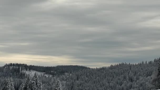 雪に覆われた木々で山を見下ろす風景 — ストック動画