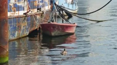 Dalgalarda sallanırken, kırmızı bir tekne bir geminin paslı tarafına bağlandı.