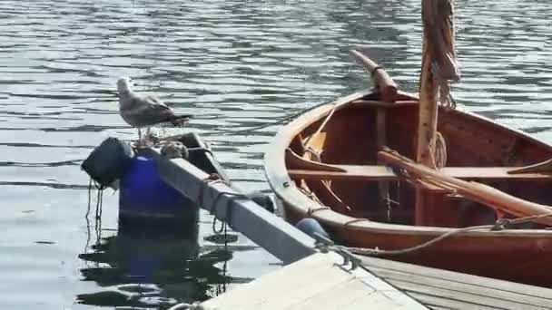 Verankertes Kleines Segelboot Retro Stil Neben Der Möwe — Stockvideo