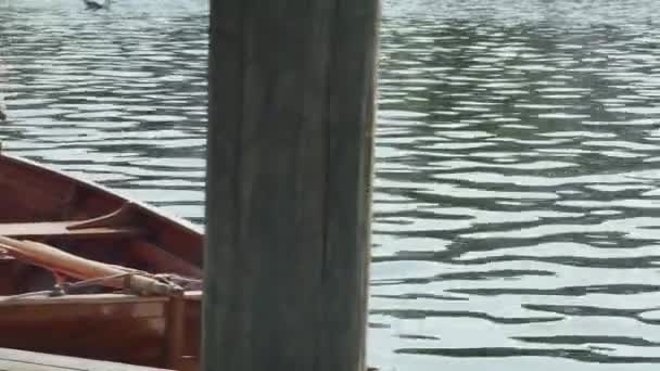 Μικρό Ιστιοφόρο Ρετρό Στυλ Αγκυροβολημένο Δίπλα Στον Γλάρο Στο Λιμάνι — Αρχείο Βίντεο